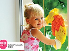 Екологічні вікна